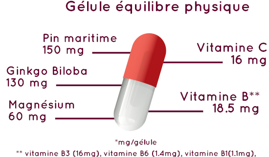 Vertizen- équilibre physique- Composition : *mg/gélule ** vitamine B3 (16mg), vitamine B6 (1.4mg), vitamine B1(1.1mg), 