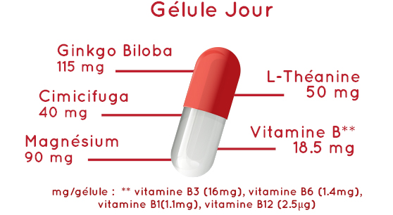 Composition CimiZen jour - mg/gélule : ** vitamine B3 (16mg), vitamine B6 (1.4mg), vitamine B1(1.1mg), vitamine B12 (2.5μg)