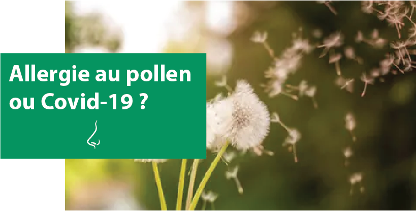 allergies aux pollens