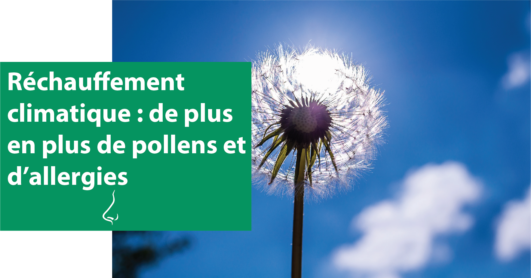 réchauffement climatique