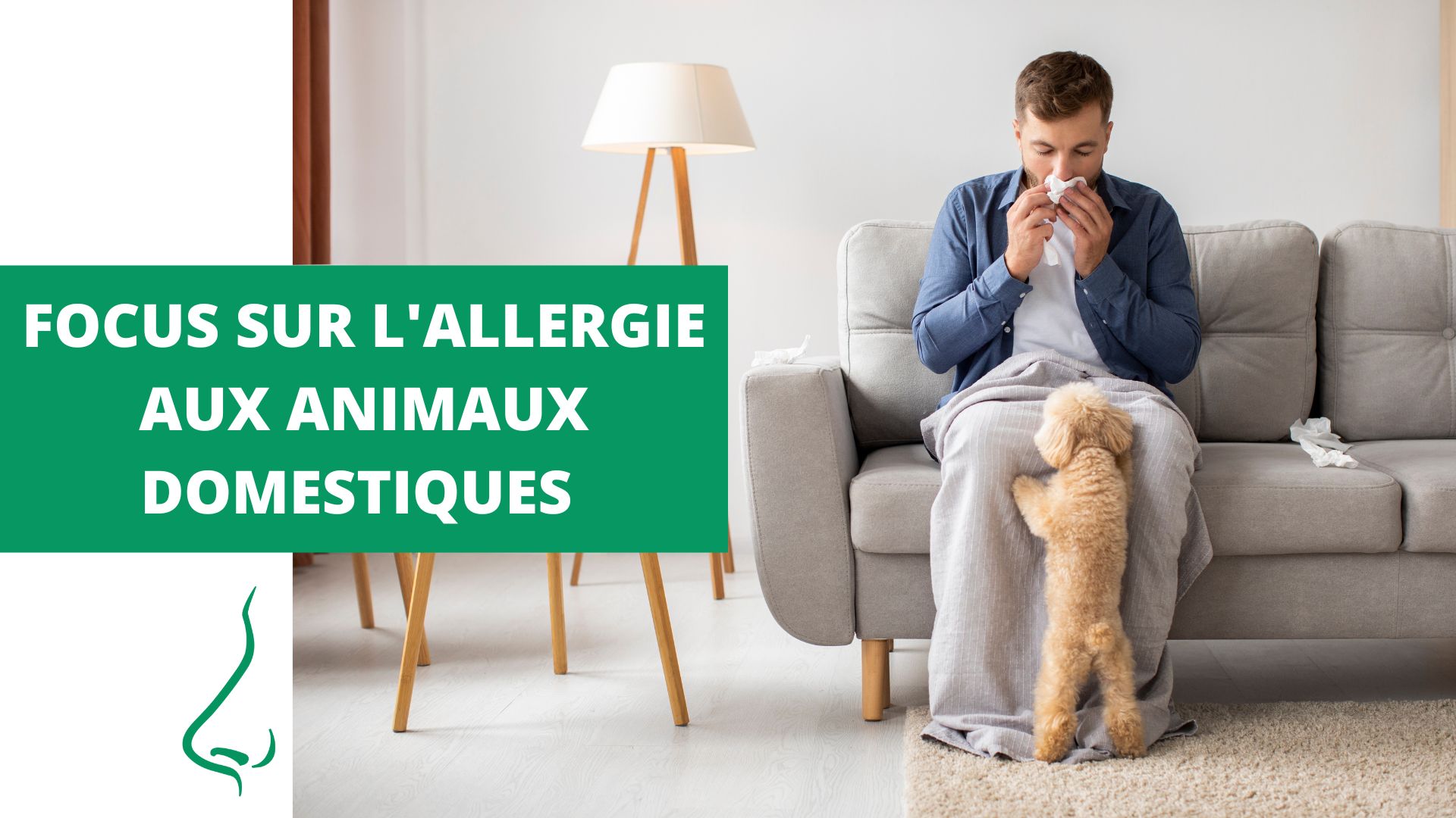 allergie-animaux-domestiques