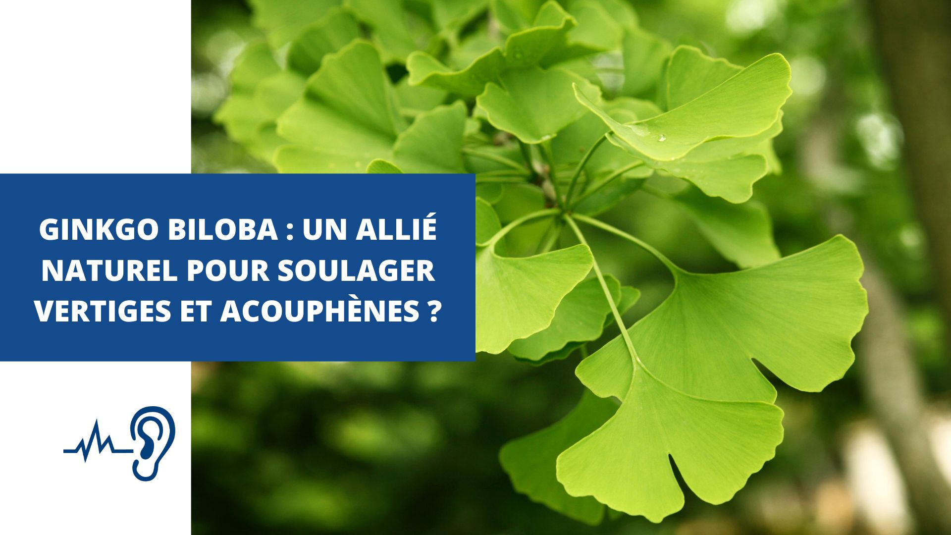 acouphene-vertiges-traitement-naturel